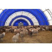 Козятник (полубочка) 12х24х4м